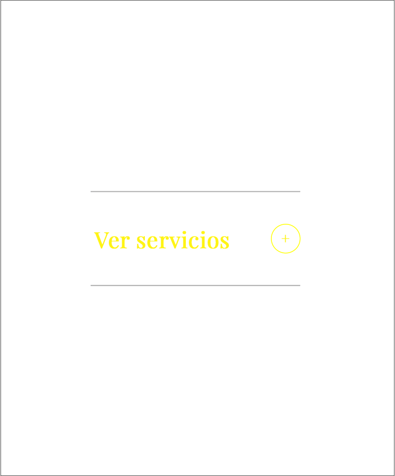 ver-servicios_2b